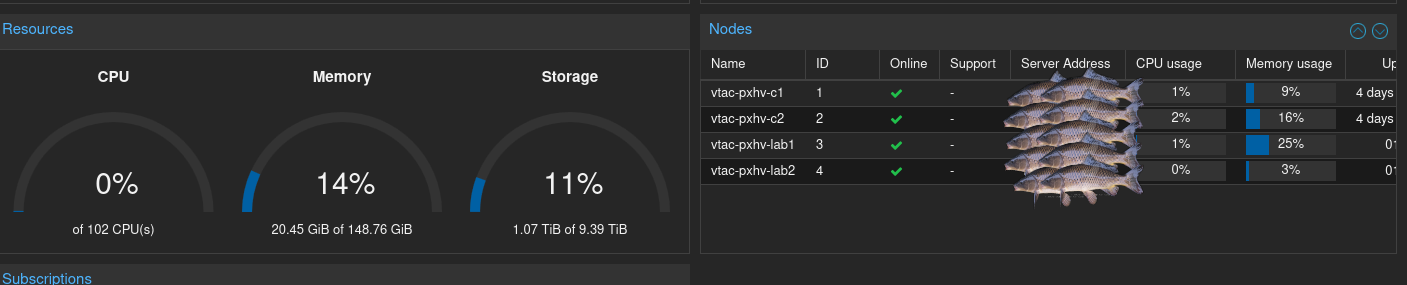 100 Days of Homelab: day 11-20
