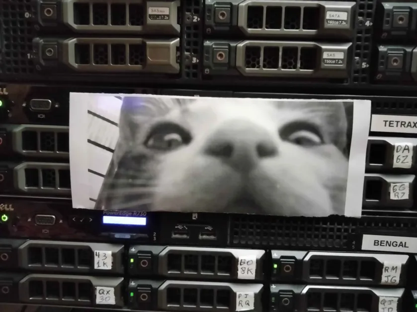 100 Days of Homelab: day 30-49
